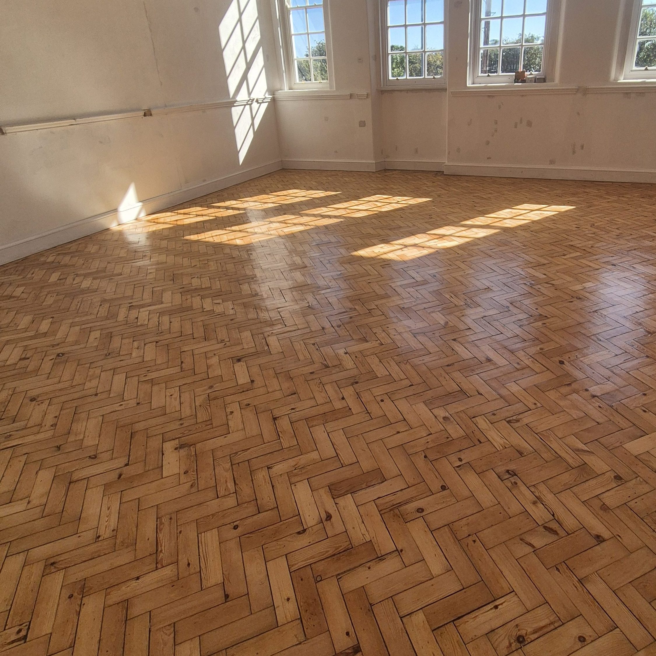 Large hall commercial floor refinishing